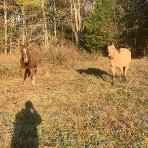 Meet your Posher, Dalton